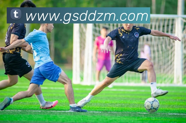 奖项证书